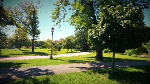 Walking In The Park Background 스톡 동영상 340076468