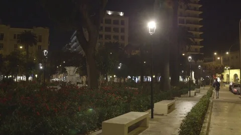 Walking in the park of the city Stock Footage 71373855