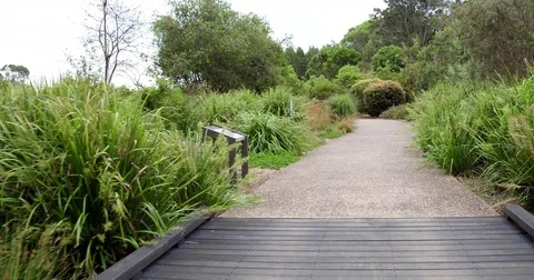 Walking in park in daylight. Stock-Footage 71631549