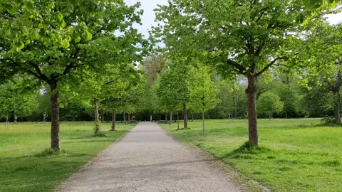 Walking in a park during spring - 4K Stock Footage 154477937