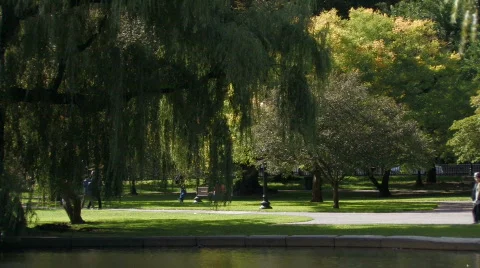 Walking in the Park Video stock 270271