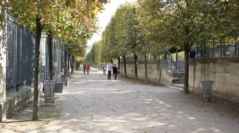 Walking in the park. Stock Footage 871391