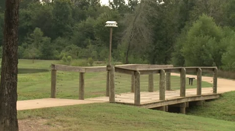 Walking park Stock Footage 921361