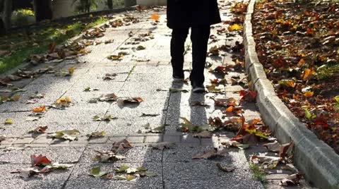 Walking in the Park Video stock 9812731