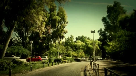 Walking in the  park Stock Footage 30457507