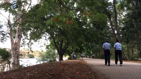 Walking In The Park Stock Footage 34333581
