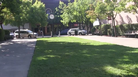 Walking in the park Video stock 42535611