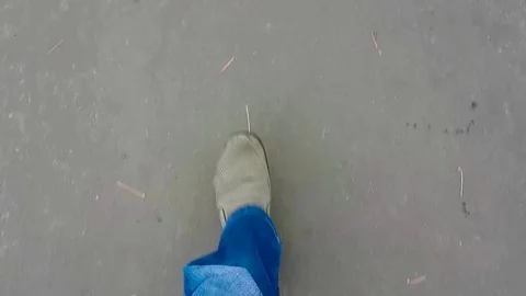Walking in the park Stock Footage 73492272