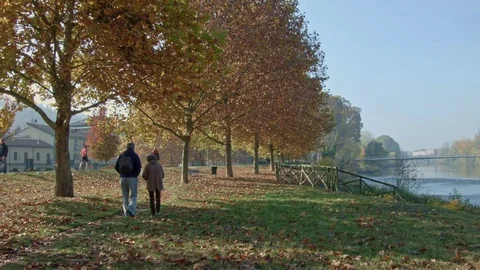 Walking in the park Stock-Footage 82239479
