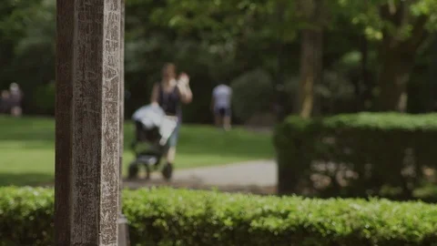 Walking in the Park Stock Footage 93202914