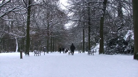 Walking in the Park Stock Footage 98680121