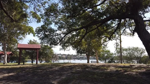 Walking on the park Stock Footage 104379314