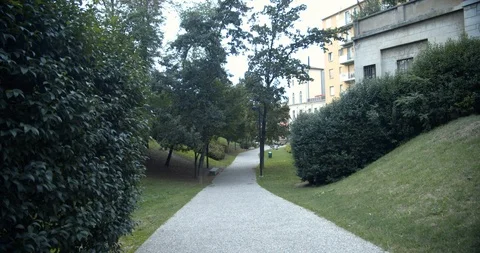 Walking in a park Stock Footage 117465946