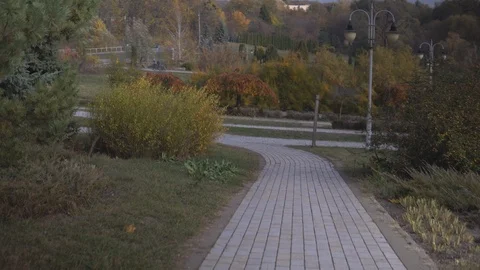 Walking in the park Stock Footage 118775093