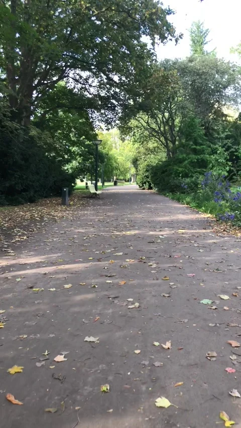 Walking in the park Stockbeeldmateriaal 140979238