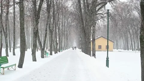 Walking in park Stock Footage 145693376