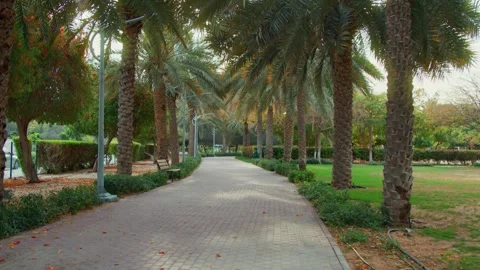 Walking in the park Stock Footage 299754952