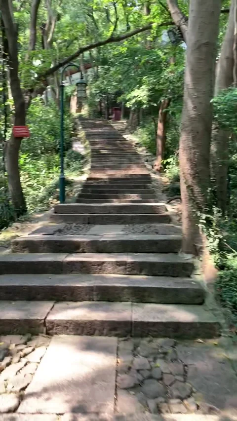 Walking in a park in Hangzhou Video stock 341362083