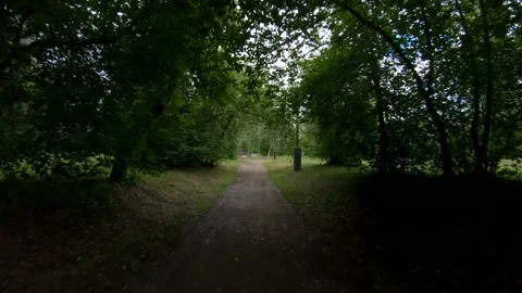 Walking in the park. Motion along the forest path. POV Stock Footage 101410448