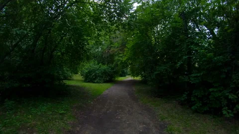 Walking in the park. Motion along the forest path. POV Stock Footage 101411009