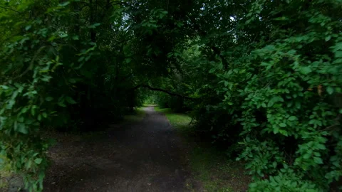 Walking in the park. Motion along the forest path. POV Stock Footage 101449846