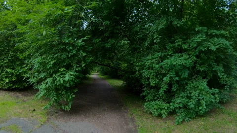 Walking in the park. Motion along the forest path. POV Stock Footage 101508322