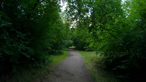 Walking in the park. Motion along the forest path. POV Video stock 101587725