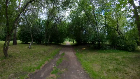 Walking in the park. Motion along the forest path. POV Stock Footage 101587944