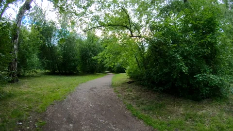 Walking in the park. Motion along the forest path. POV Stock Footage 101588184