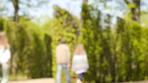 Walking in the park people Stock Footage 74685051