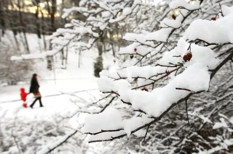 Walking in a park Stock Photos