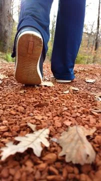 Walking in the park Stock Photos