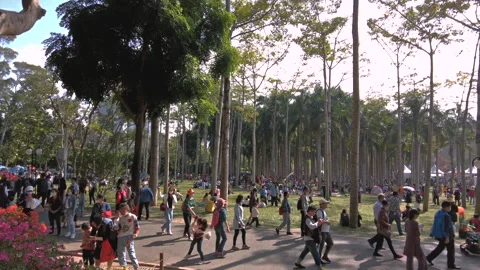 Walking on the park of Shenzhen， 스톡 동영상 154346698
