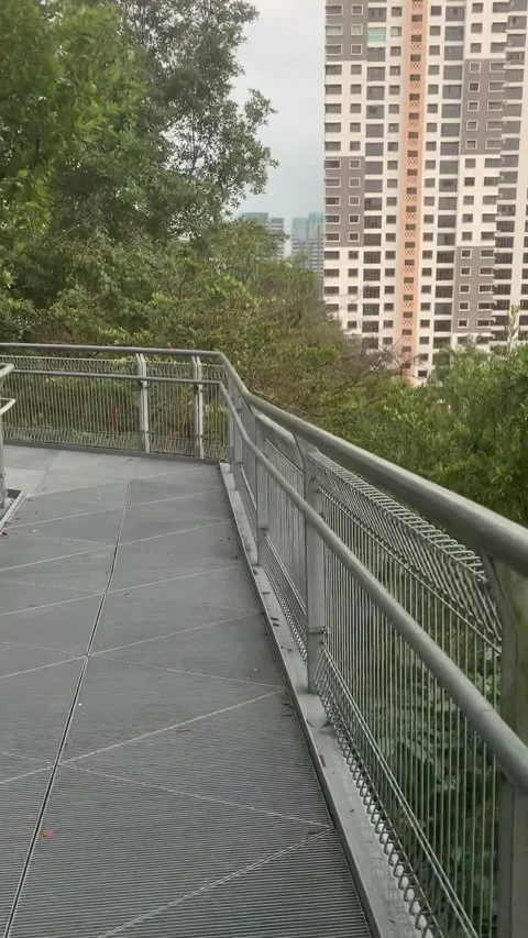 Walking in a park in Singapore Stockbeeldmateriaal 344579053