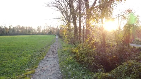 Walking in a park at the sunset Vídeo Stock 143667514