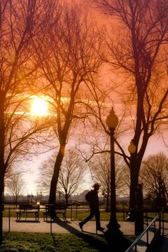 Walking in park at sunset Stock Photos