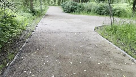 Walking park track Stock Footage 277114713
