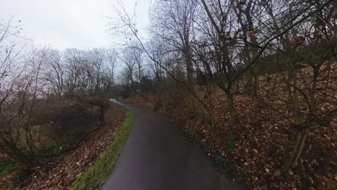 Walking in park view Stock Footage 326316476