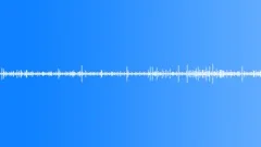 Walking In ParklandSound Effect