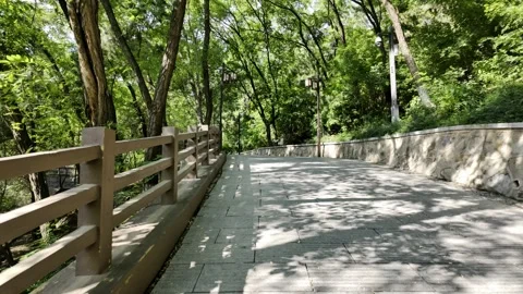 Walking in the Park's Woods Stock Footage 317475114