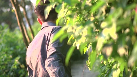 Walking past Bushes Stock Footage 238020713