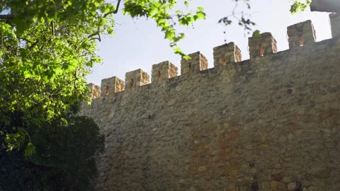 Walking past castle wall behind treeline Stock Footage 273675761