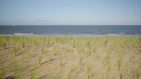 Walking past dune grass at beach in Knokke Belgium on sunny day Stock-Footage 329670593