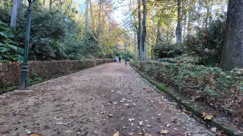 Walking path to Alhambra complex Stock Footage 296126054