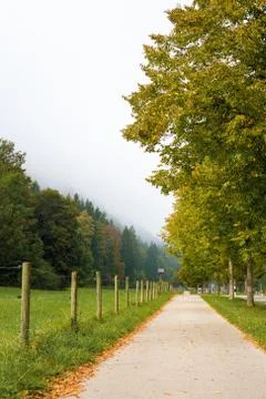 Walking path along the forest and a row of trees. Autumn landscape  Stock Photos