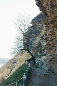 Walking path along the rock with a tree Stock-Fotos