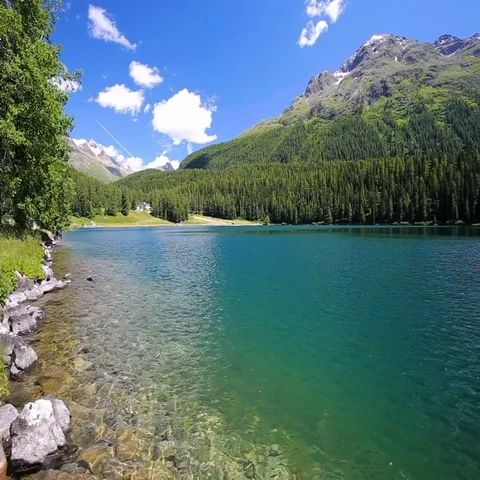 Walking path along Sankt Moritzersee with green forest and Swiss Alps. Stock-Footage 69379323
