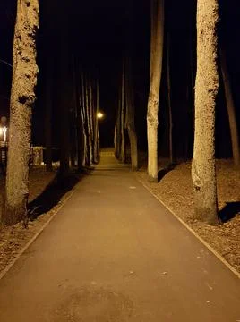 Walking path among trees lit by street lamps on a dark night Stock Photos
