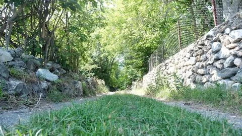 Walking path among the trees. Stock Photos