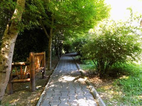 A walking path and a bamboo bench in the park Stock Photos
